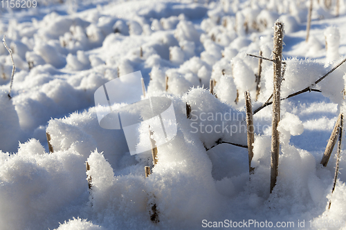 Image of Snow on the field