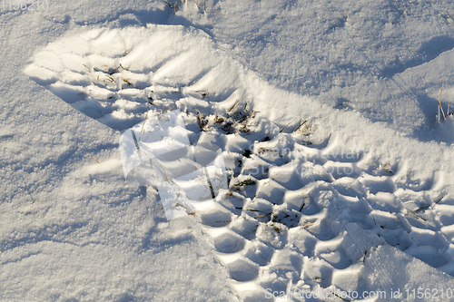 Image of Road in winter