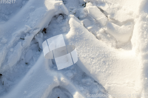 Image of Road under the snow