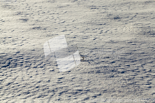Image of Snow drifts