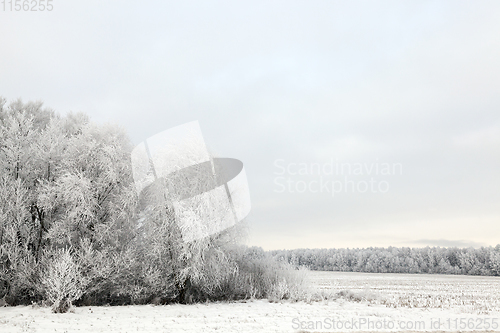 Image of Snow drifts