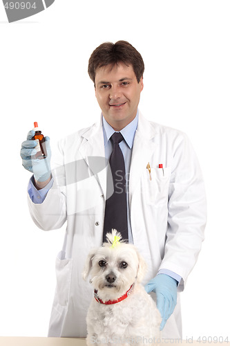 Image of Veterinarian with medicine