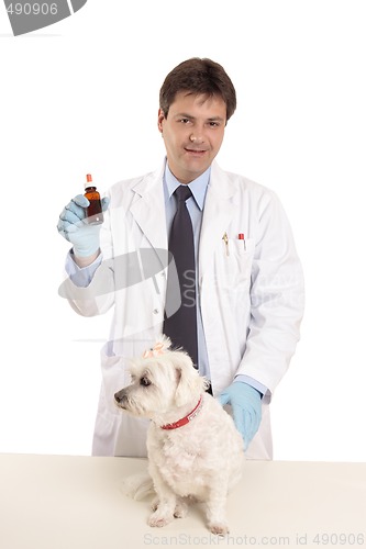 Image of Vet with pet and ointment