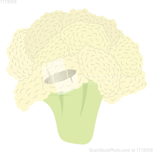 Image of Cauliflower icon