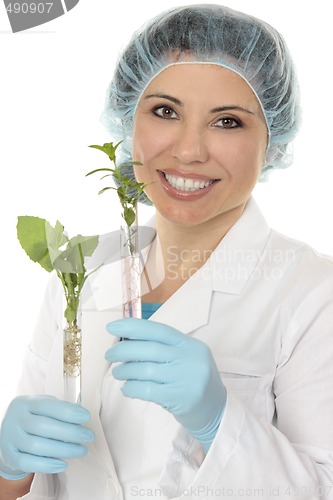 Image of Test tube plants