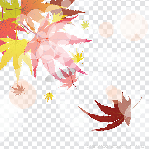 Image of Autumn maple leaves background