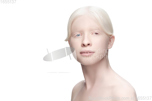 Image of Beautiful albino woman with heterochromia isolated on white studio background