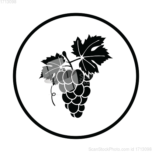 Image of Icon of Grape
