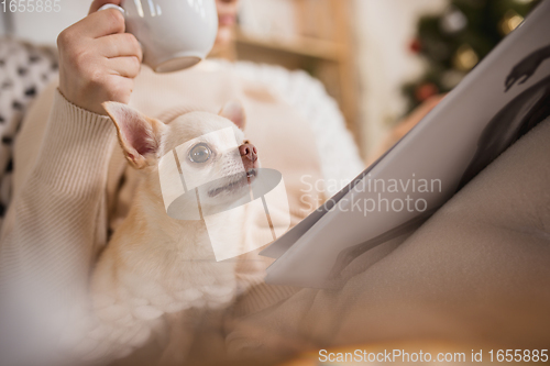 Image of Young woman enjoying her domestic life. Home comfort, winter and holidays time