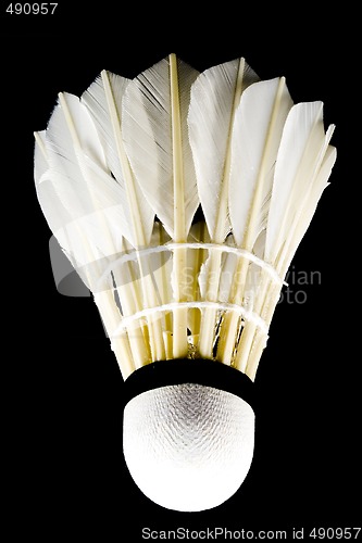 Image of Shuttlecock