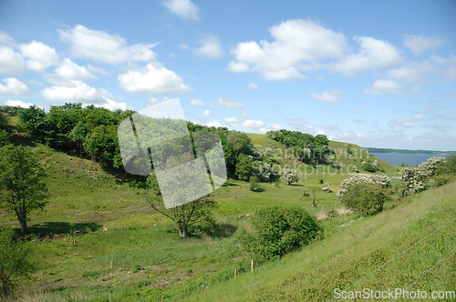 Image of Green Landscape