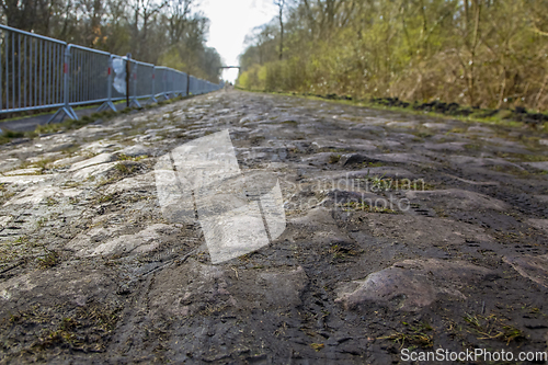 Image of Pave d'Arenberg