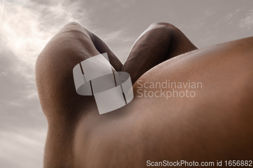 Image of Detailed texture of human skin. Close up shot of young african-american male body like landscape with the sky background