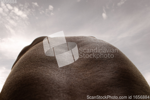 Image of Detailed texture of human skin. Close up shot of young african-american male body like landscape with the sky background