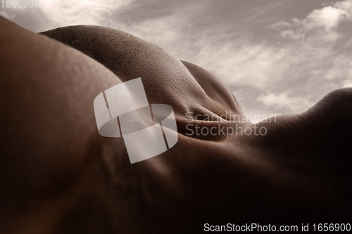 Image of Detailed texture of human skin. Close up shot of young african-american male body like landscape with the sky background