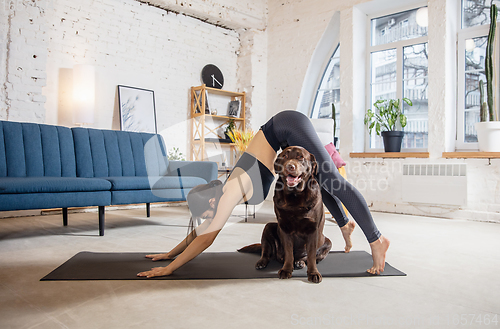 Image of Young woman working out at home during lockdown, yoga exercises with the dog