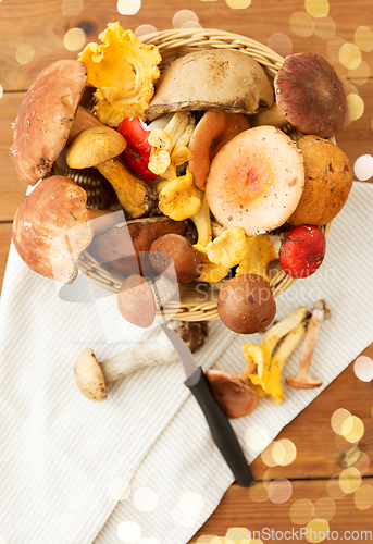 Image of basket of different edible mushrooms and knife