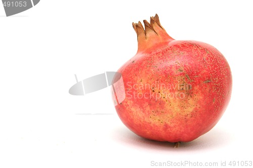 Image of one pomegranate