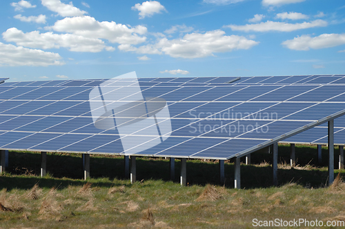 Image of Rows of solar panels and green nature