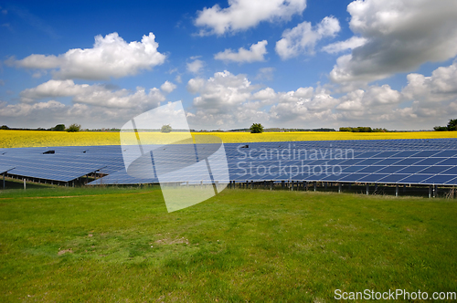 Image of Rows of solar panels and green nature