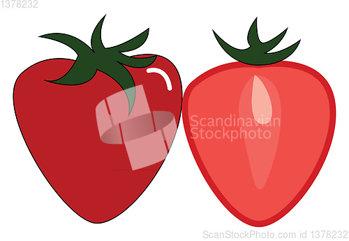 Image of Strawberries, vector or color illustration.