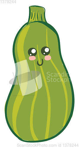 Image of Image of cute zucchini, vector or color illustration.