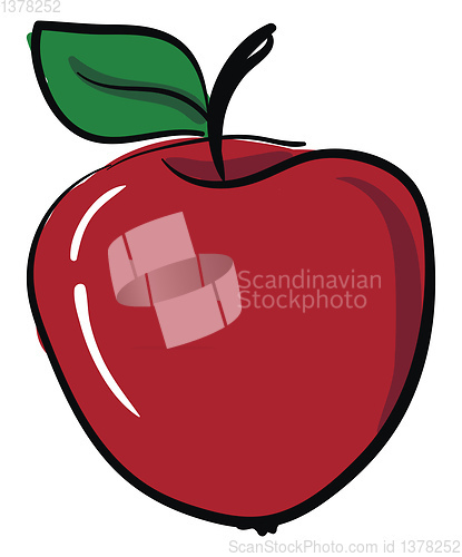 Image of Red apple, vector or color illustration.