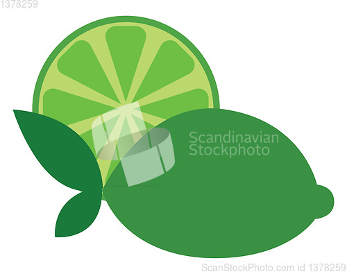 Image of Lime with leaves, vector or color illustration.
