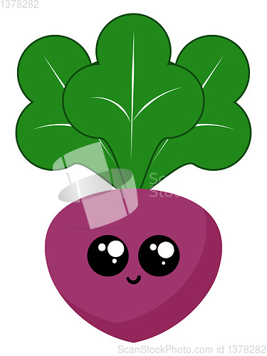 Image of Image of beetroot, vector or color illustration.