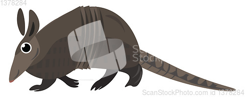 Image of Image of armadillo, vector or color illustration.