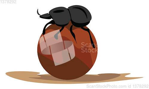 Image of Image of dung beetle, vector or color illustration.