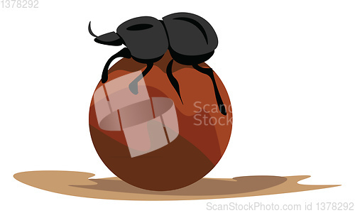 Image of Image of dung beetle, vector or color illustration.