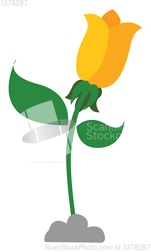 Image of A beautiful yellow flower grown above the soil, vector or color 