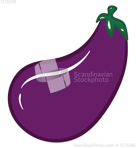 Image of Image of eggplant, vector or color illustration.