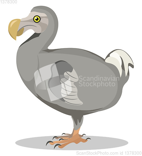 Image of Image of dodo, vector or color illustration.