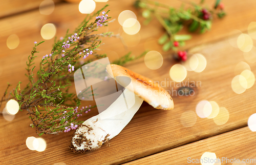 Image of russule mushroom with heather on wooden background