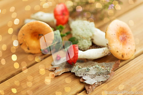 Image of russule mushrooms on wooden background