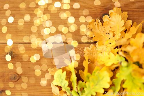 Image of oak leaves in autumn colors on wooden table