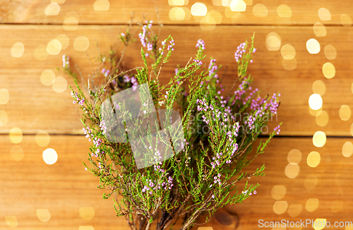 Image of heather bush on wooden table