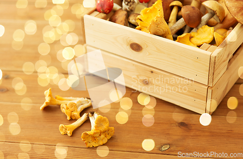 Image of wooden box of different edible mushrooms