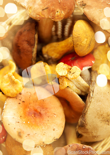 Image of brown cap boletus mushrooms on wooden background