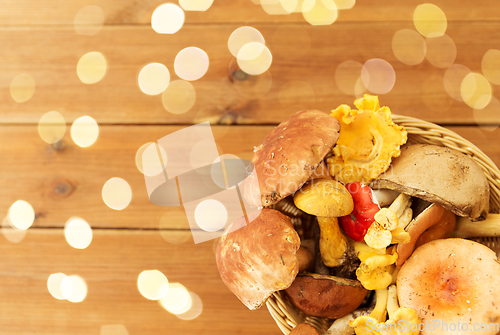 Image of basket of different edible mushrooms on wood