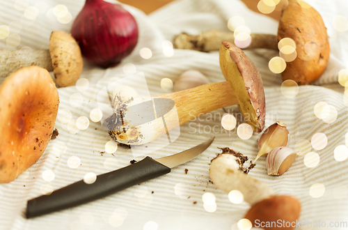 Image of edible mushrooms, kitchen knife and towel