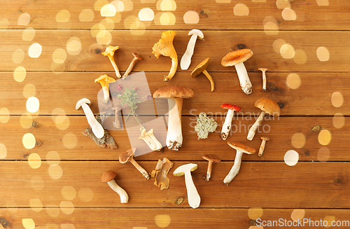 Image of different edible mushrooms on wooden background