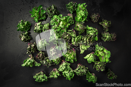 Image of Kalette, kale sprouts or flower sprouts on black background