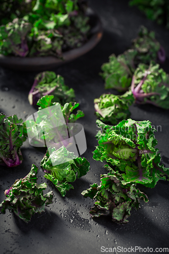 Image of Kalette, kale sprouts or flower sprouts on black background