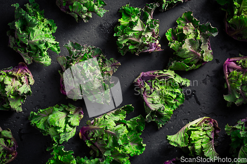 Image of Kalette, kale sprouts or flower sprouts on black background