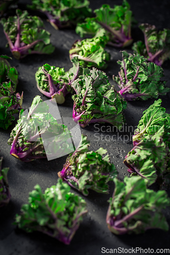 Image of Kalette, kale sprouts or flower sprouts on black background