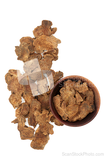 Image of Atractylodes Root Chinese Herb