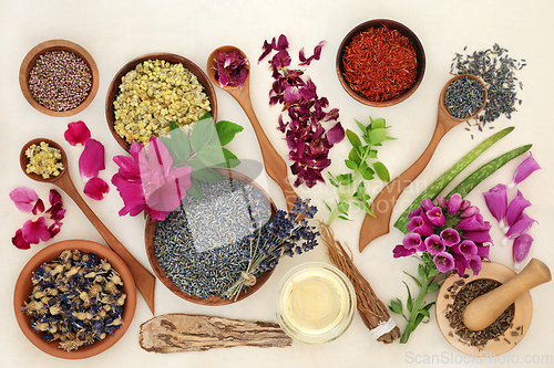 Image of Healing Herbs and Flowers for Natural Remedies